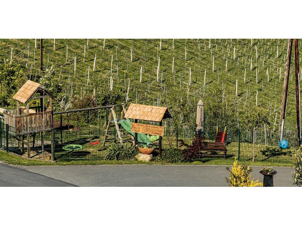 Bild 23 von Weingut & Buschenschank Pölzl