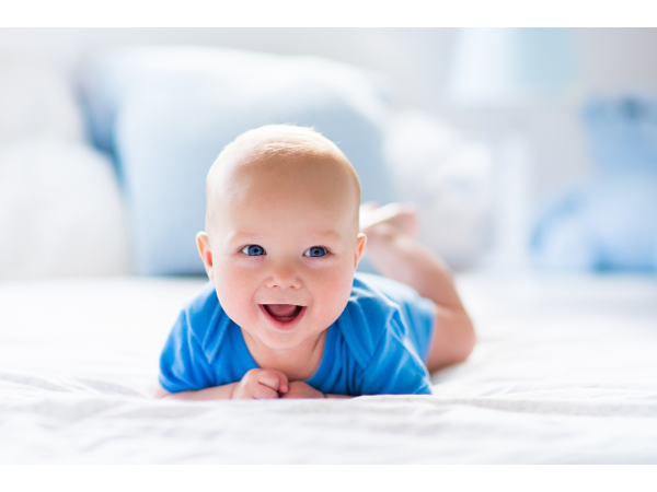 Bild 2 von Notariat Dr. Gerhard Mayer