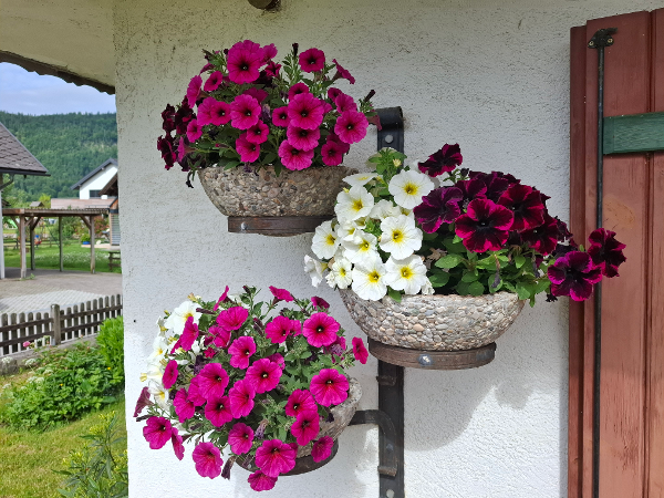 Bild 41 von Haus Christoph