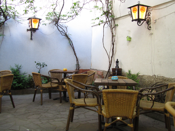 Bild 16 von Old Lemon Tree