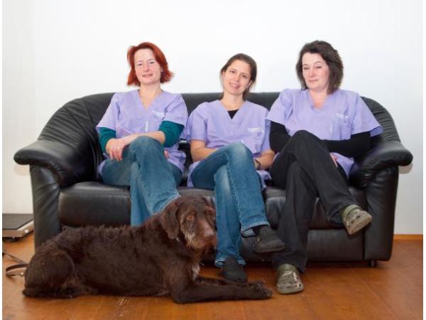 Bild 3 von Kleintierpraxis Alkoven - Dr.med.vet. Birgit Seitlinger