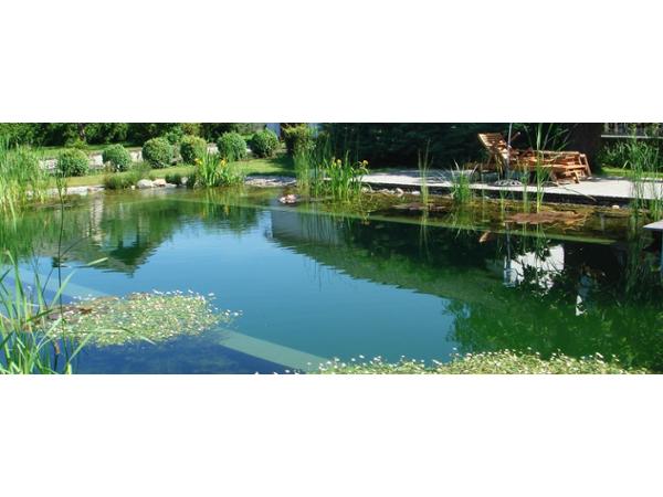 Bild 1 von Gartenbau Kloucek