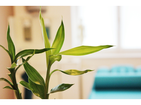 Bild 1 von VIA Therapiezentrum Baden