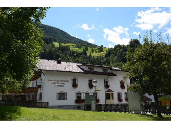 Bild 1 von Alpenrose