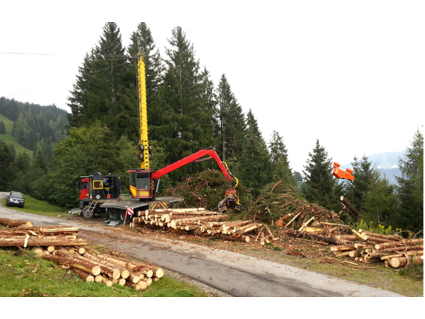 Bild 1 von Ferienwohnung - Blockhaus Ganschitter, Premsäge - Ganschitter Johann jun