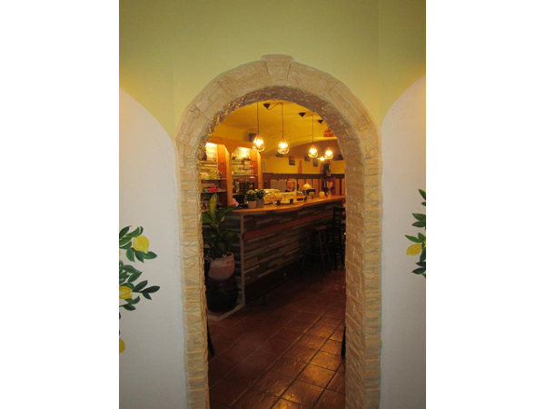 Bild 6 von Old Lemon Tree