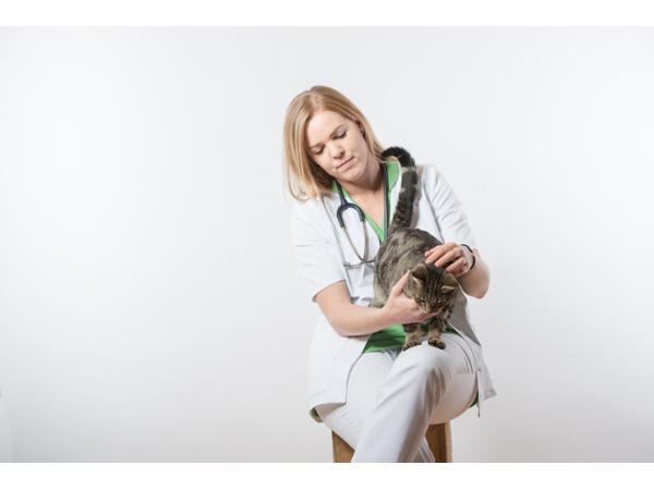 Bild 3 von Tierarztpraxis Amstetten Mag.med vet Forster Johanna