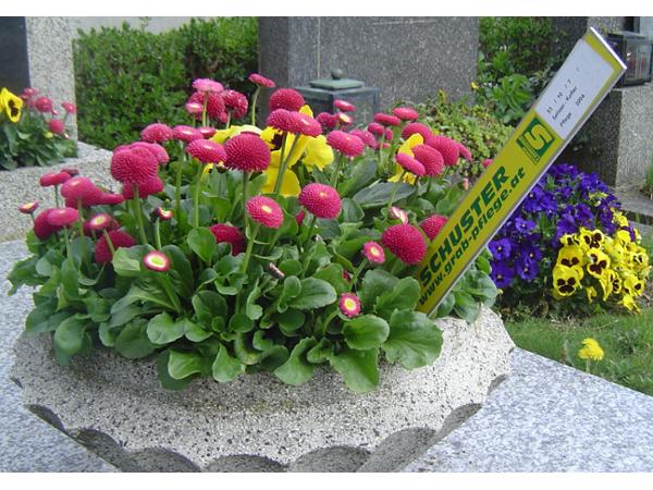 Bild 7 von Schiffinger & Schuster GesmbH
