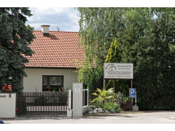 Bild 1 von AustroPalm