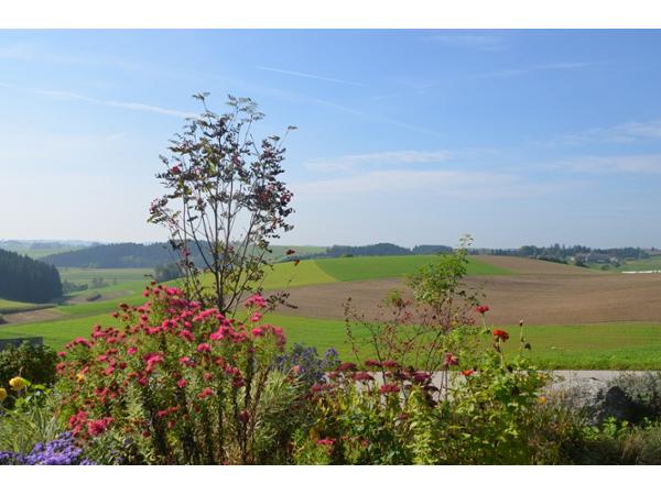 Bild 3 von Ferienhof Lindorfer Josef + Gertraud