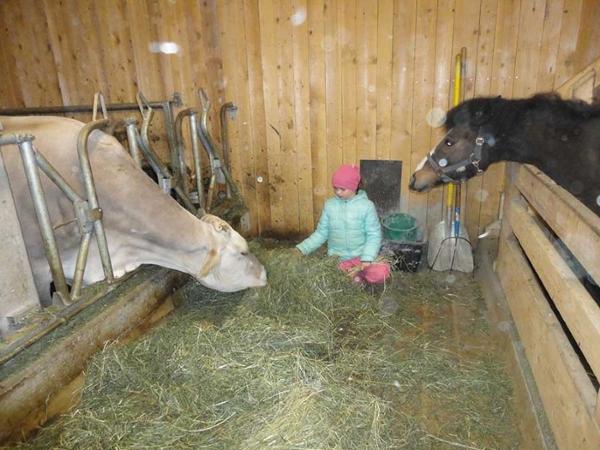 Bild 1 von Kinderbauernhof Felder