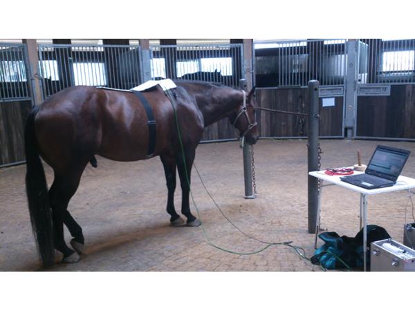 Bild 1 von Hugo´s Bioresonanz