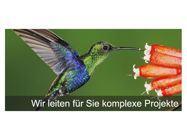 Bild 4 von Personal-Basis Management GmbH