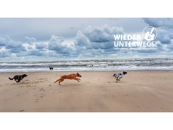 Bild 4 von WIEDERUNTERWEGS Werbeagentur und Reiseblog - Mag. Angelika Mandler-Saul