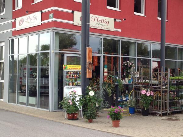 Bild 1 von Blumen Plettig