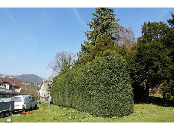 Bild 5 von Handwerkmacher Kronberger