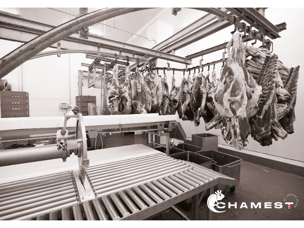 Bild 4 von CHAMEST GmbH