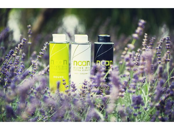 Bild 2 von NOAN GmbH