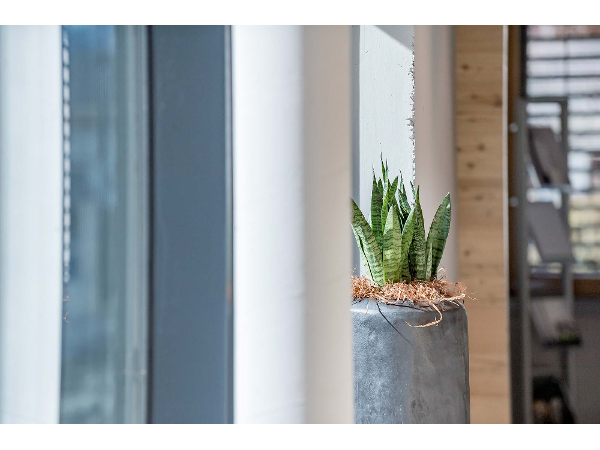 Bild 5 von STUDIOELF Kreativagentur