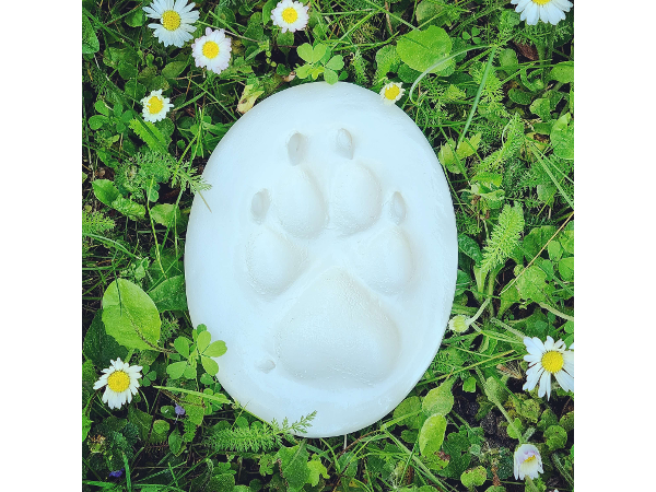 Bild 7 von Tierbestattung ENDLESS LOVE e.U.