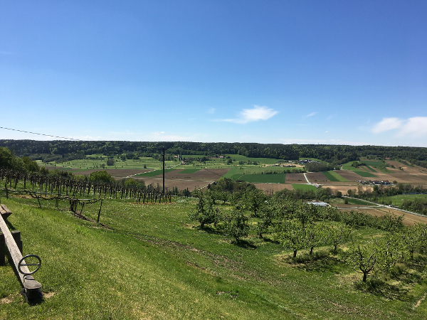 Bild 28 von Maluhof - Hofladen, Festschenke, Erlebnisgarten