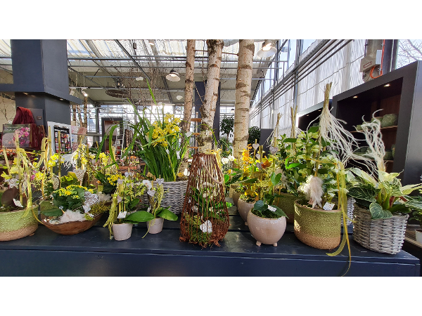 Bild 208 von Gartenbau-Blumen Helmut Friedl