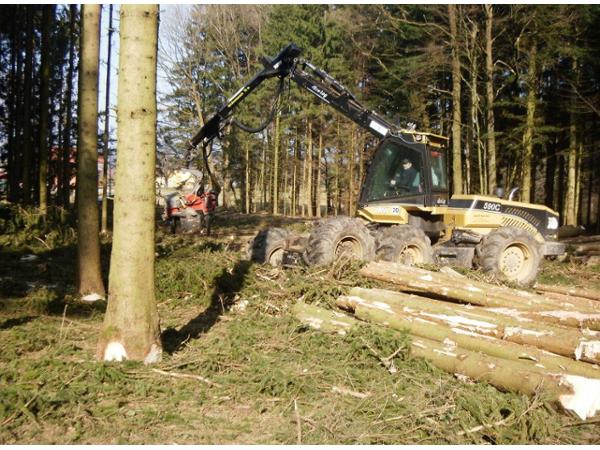 Bild 5 von Holz Berner GmbH