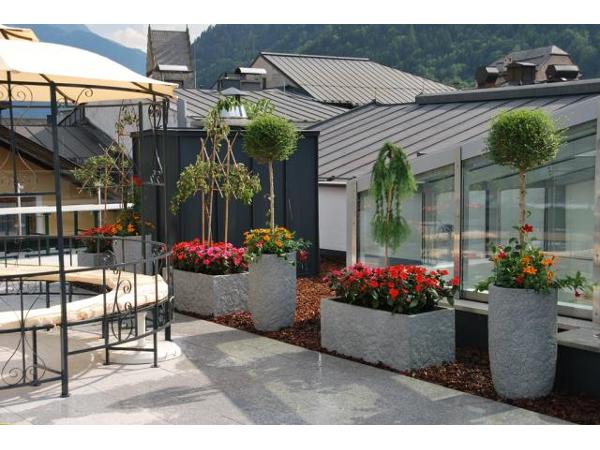 Bild 15 von Blumen und Gärtnerei Riegler GmbH
