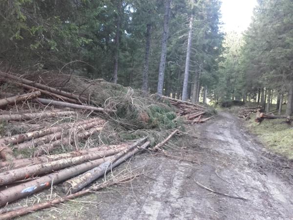 Bild 9 von HOLZ TOLAN Adrian
