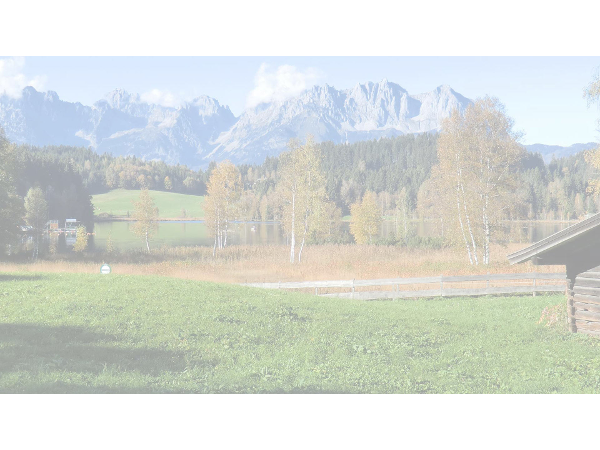 Bild 10 von Peter Berger - Schindeldächer und Landschaftszäune in Kitzbühel
