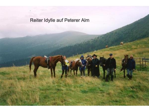 Bild 21 von Reitstall Ponderosa