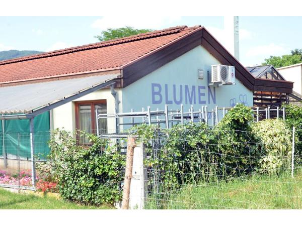Bild 1 von Gaspar Ernst