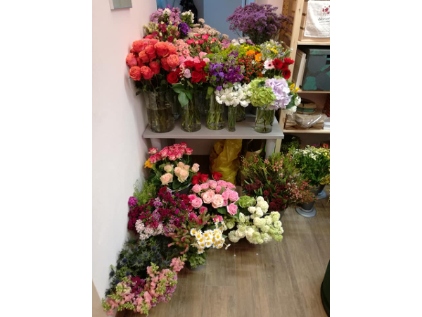 Bild 2 von blumenzeit - Anneliese Mahl