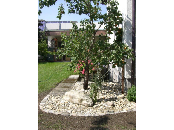 Bild 14 von Garten - Akzente