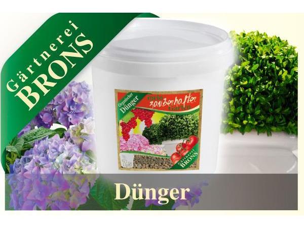 Bild 5 von Gärtnerei Brons - Filiale Flora Brons