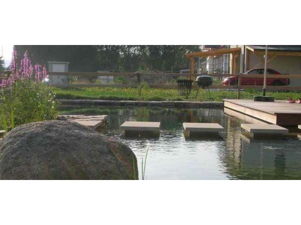 Bild 17 von Schwimmteich & Gartengestaltung Matheis KG