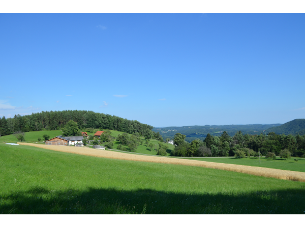 Bild 1 von Urlaub am Bauernhof - Ferienwohnungen am Gregerbauerhof