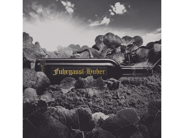 Bild 4 von Tupfo | Werbefotografie & KI