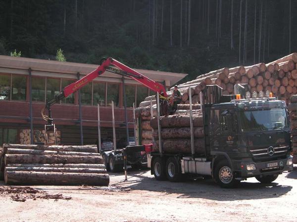 Bild 3 von Beer Christoph Holztransporte