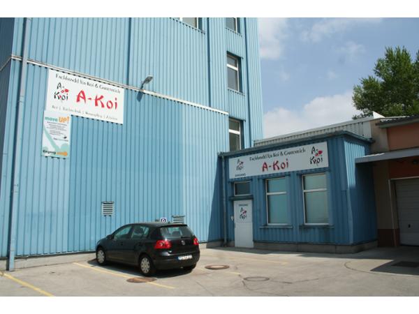 Bild 1 von A-Koi Karl Wiesbauer - Koi & Gartenteichzubehör / Shop