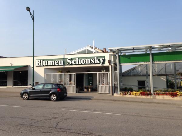 Bild 5 von Blumen Schonsky