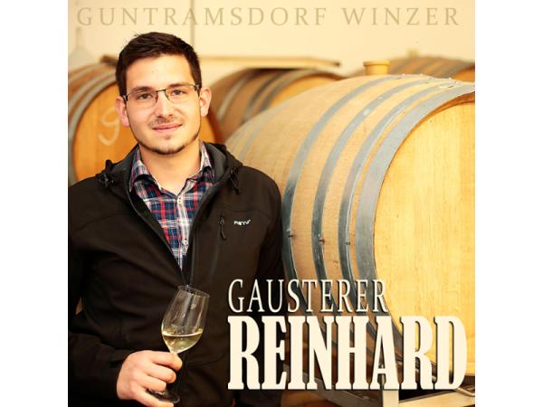 Bild 2 von Weinbau - Reinhard Gausterer