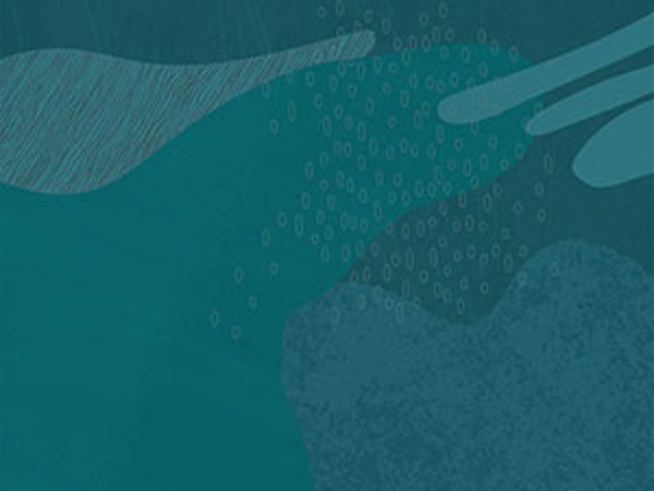 Bild 1 von ORACLE Austria GmbH