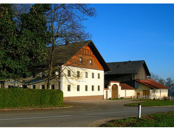 Bild 1 von Wirt'z Kaltenmarkt - Gasthaus Glas