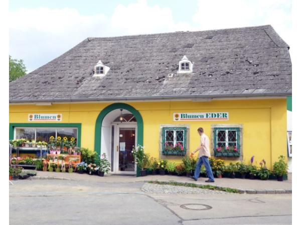 Bild 1 von Blumen Eder