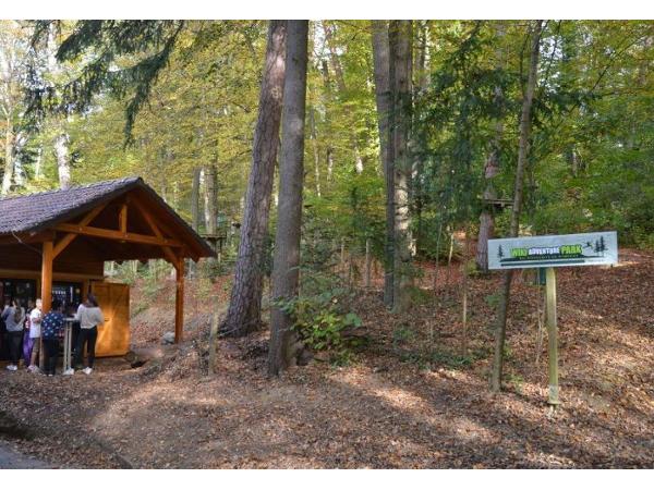 Bild 1 von Kletterwald Graz