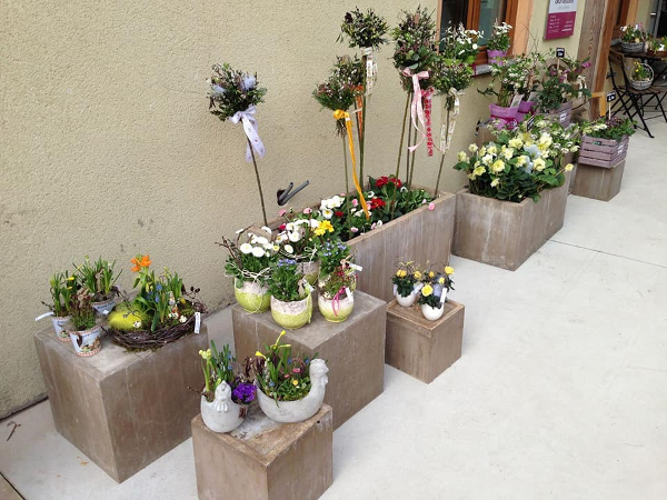 Bild 24 von blumenzeit - Anneliese Mahl
