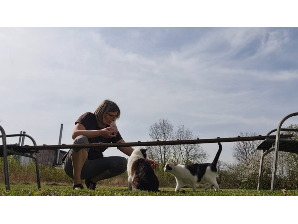 Bild 2 von Like Cats and Dogs Hunde- und Katzenverhaltensberatung Pia Weidinger, MSc