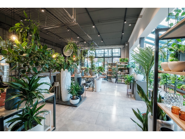 Bild 3 von LANGEDER GmbH garten. leben. wohnen.
