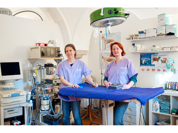 Bild 6 von Kleintierpraxis Alkoven - Dr.med.vet. Birgit Seitlinger